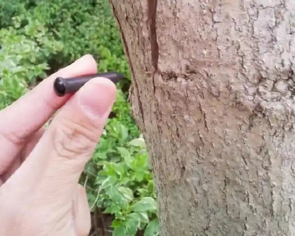 RFID Holznägel