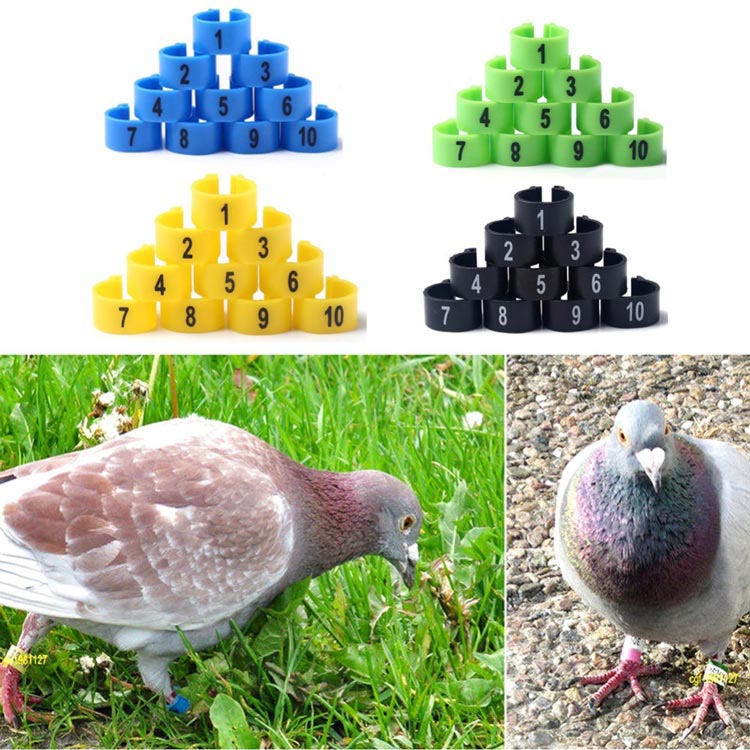RFID Bein-Tags